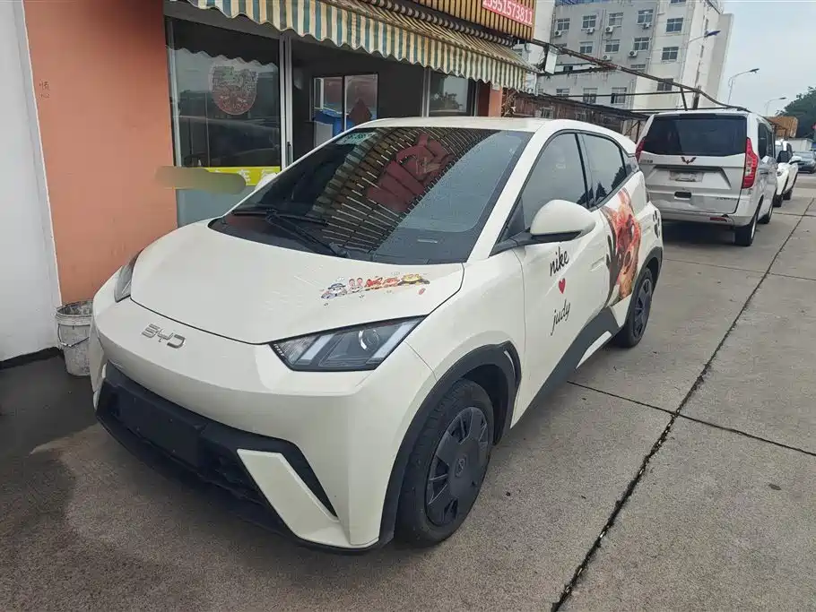 Byd Seagull 2024