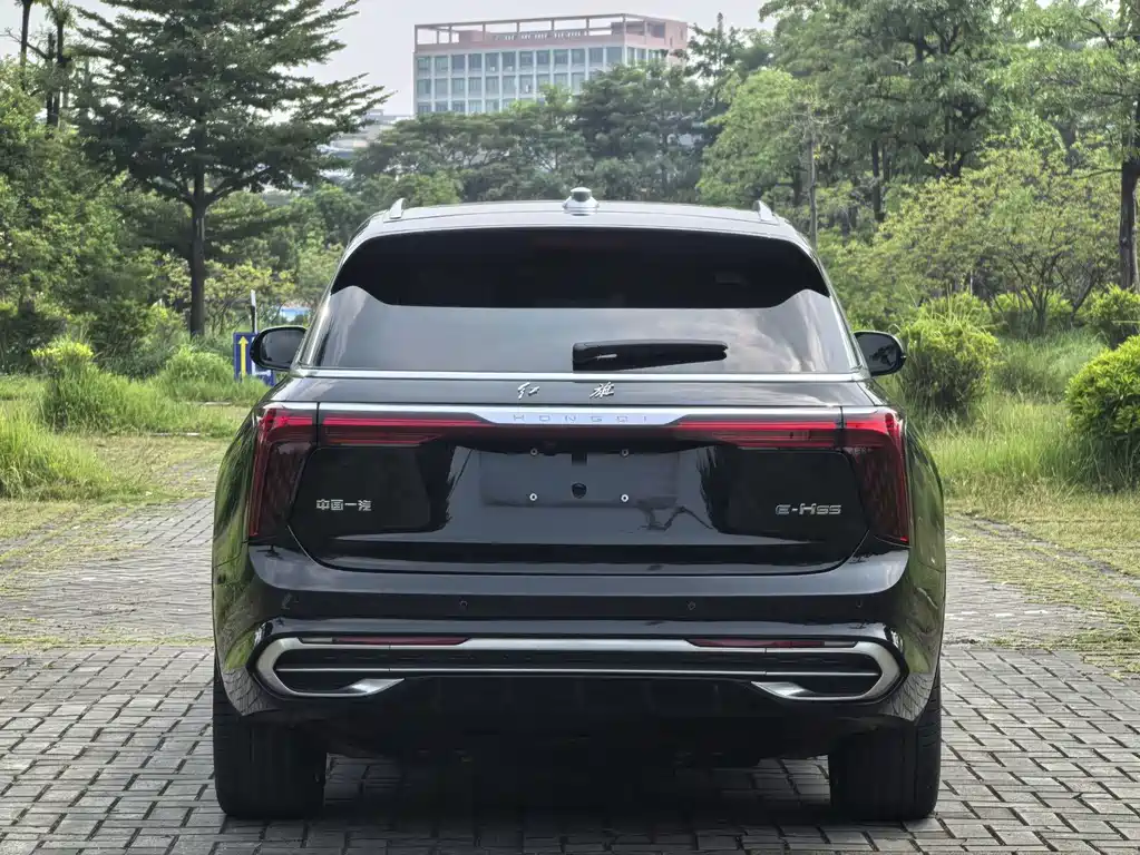 Hongqi Hongqi E-HS9 — миниатюра 8