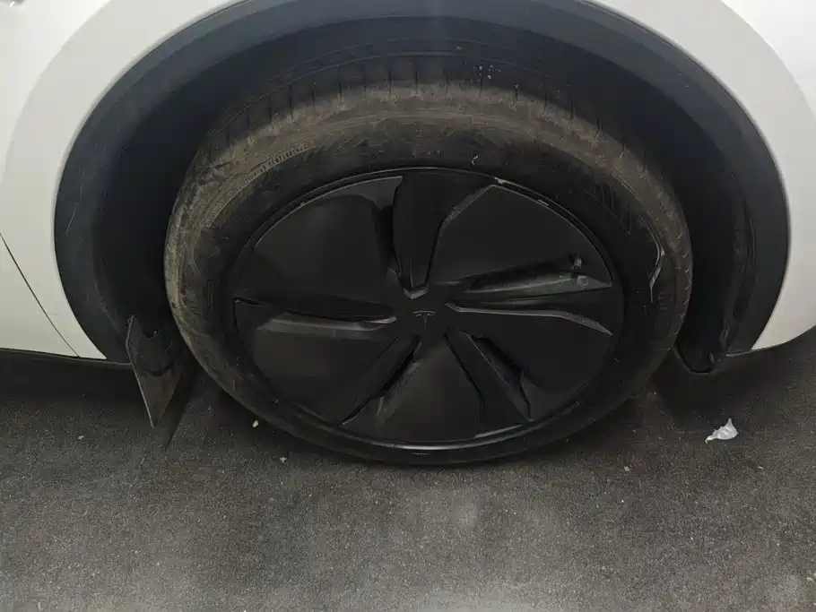 Tesla Model Y — миниатюра 6
