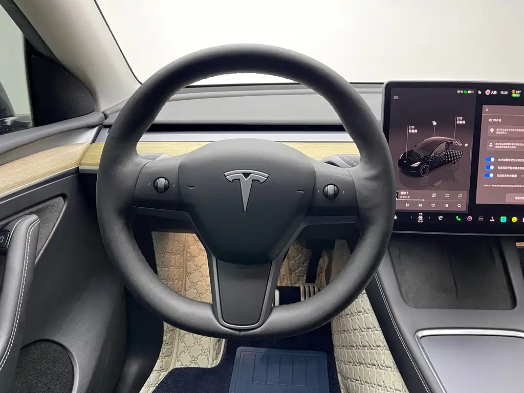 Tesla Model Y — миниатюра 12