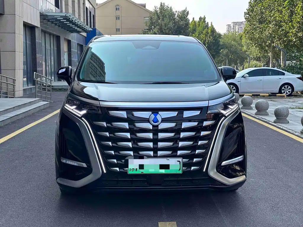 Denza Denza D9 — миниатюра 3