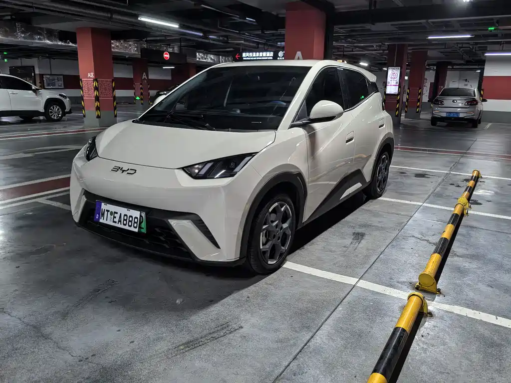 Byd Seagull 2024