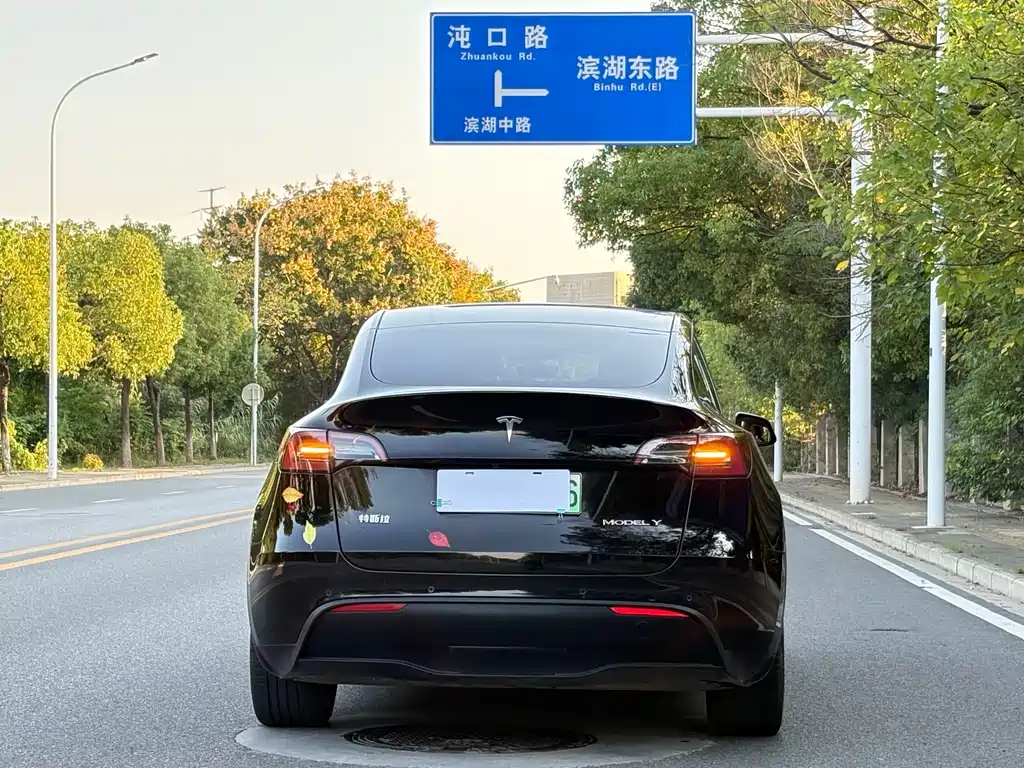Tesla Model Y — миниатюра 11