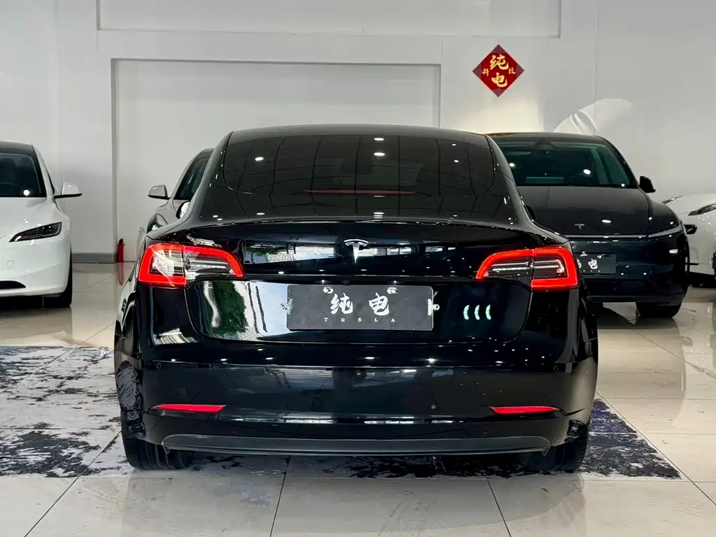 Tesla Model 3 — миниатюра 11