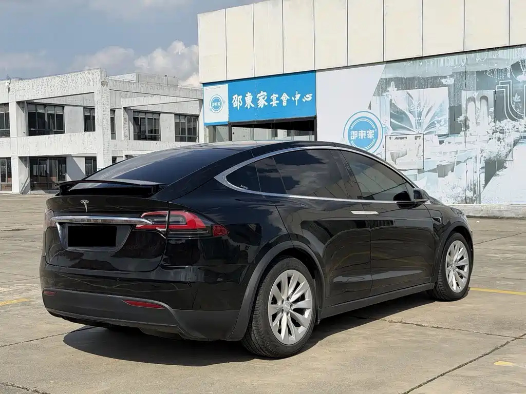 Tesla Model X — миниатюра 4