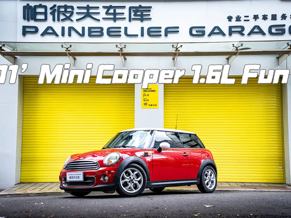 Mini Mini 2011