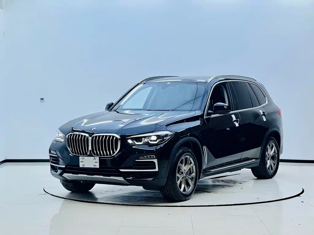BMW X5 New Energy (Import)