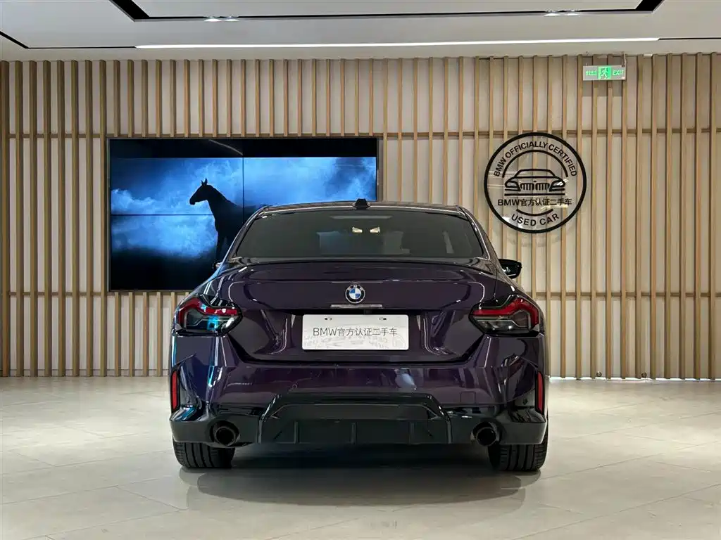 BMW 2 Series (Import) — миниатюра 3