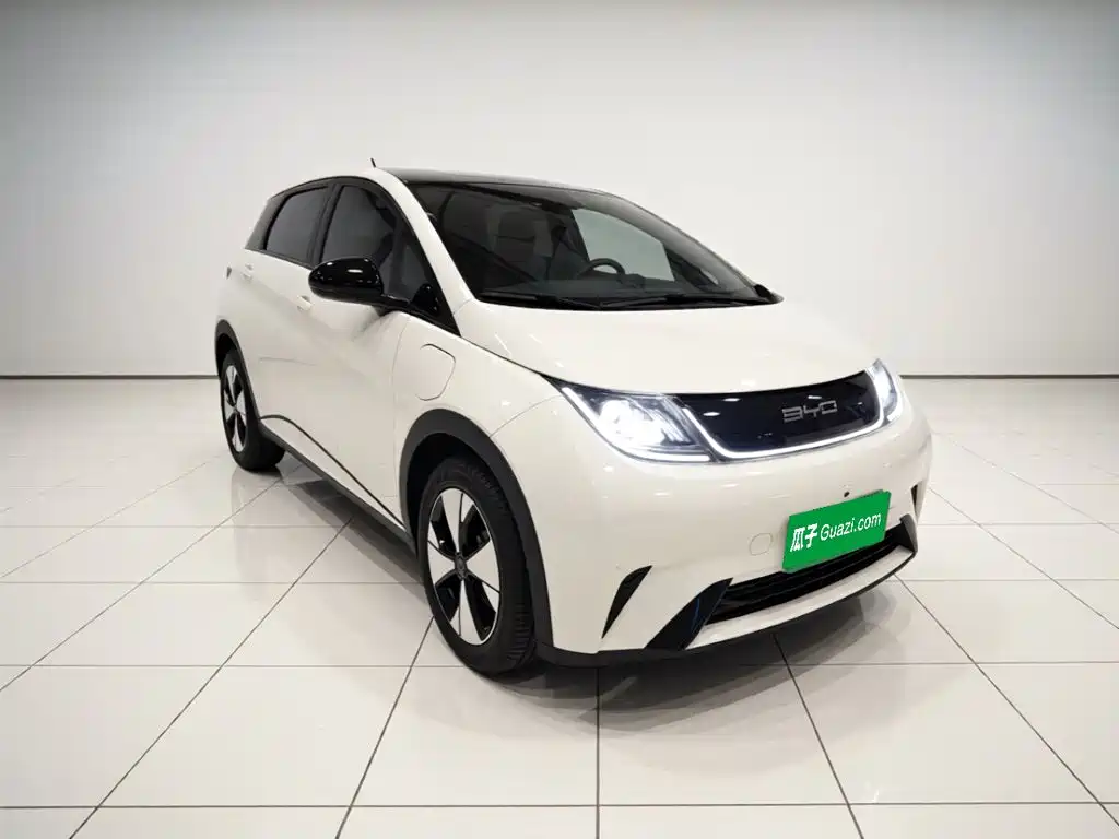 BYD Dolphin — миниатюра 24