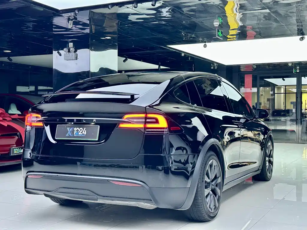 Tesla Model X — миниатюра 5