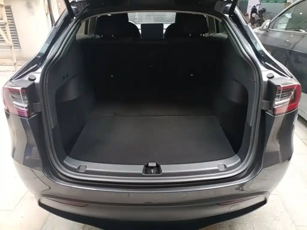 Tesla Model Y — миниатюра 19