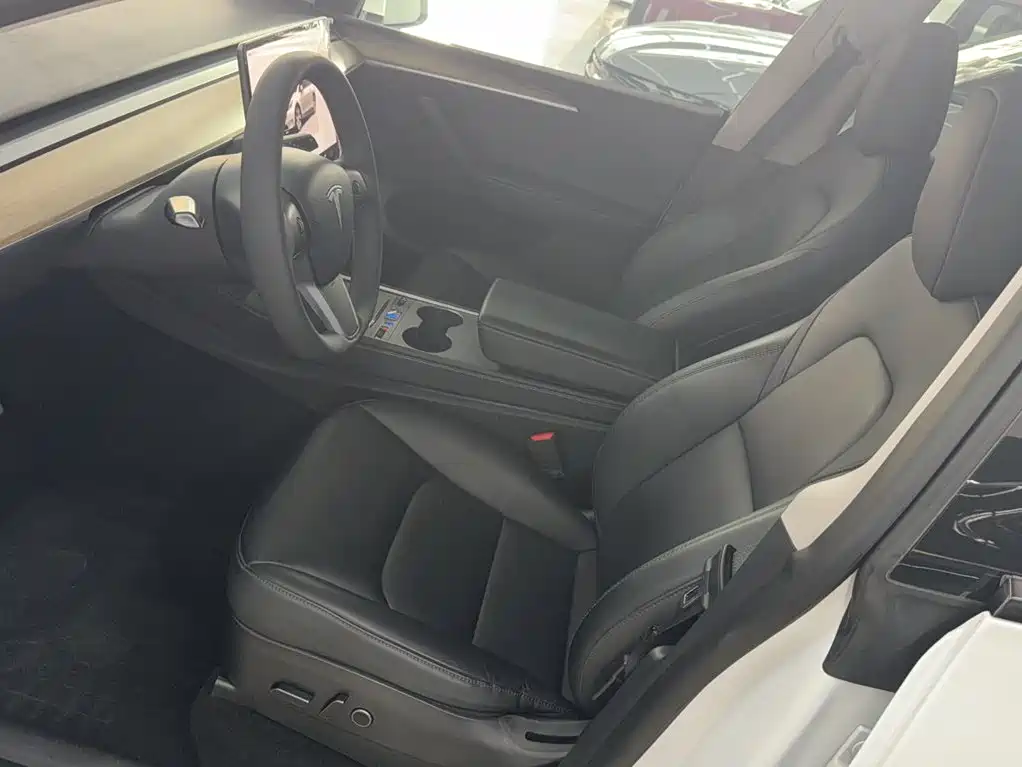Tesla Model Y — миниатюра 8