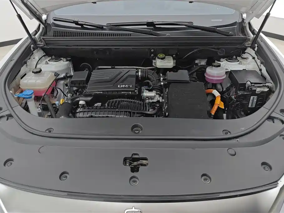 BYD SONGJIANG NEW ENERGY