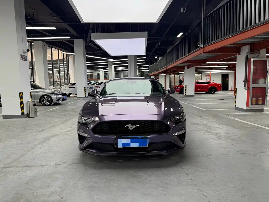 Ford Mustang — миниатюра 2