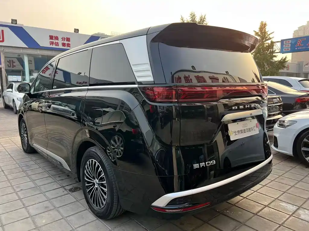 Denza Denza D9 — миниатюра 5