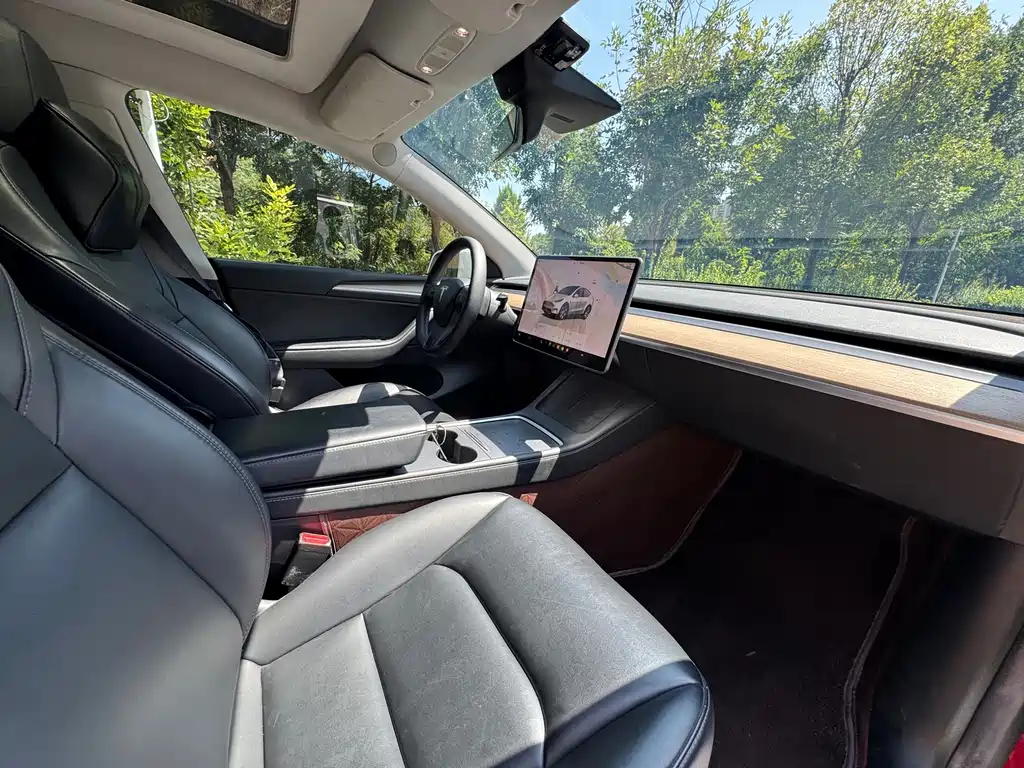 Tesla Model Y — миниатюра 14