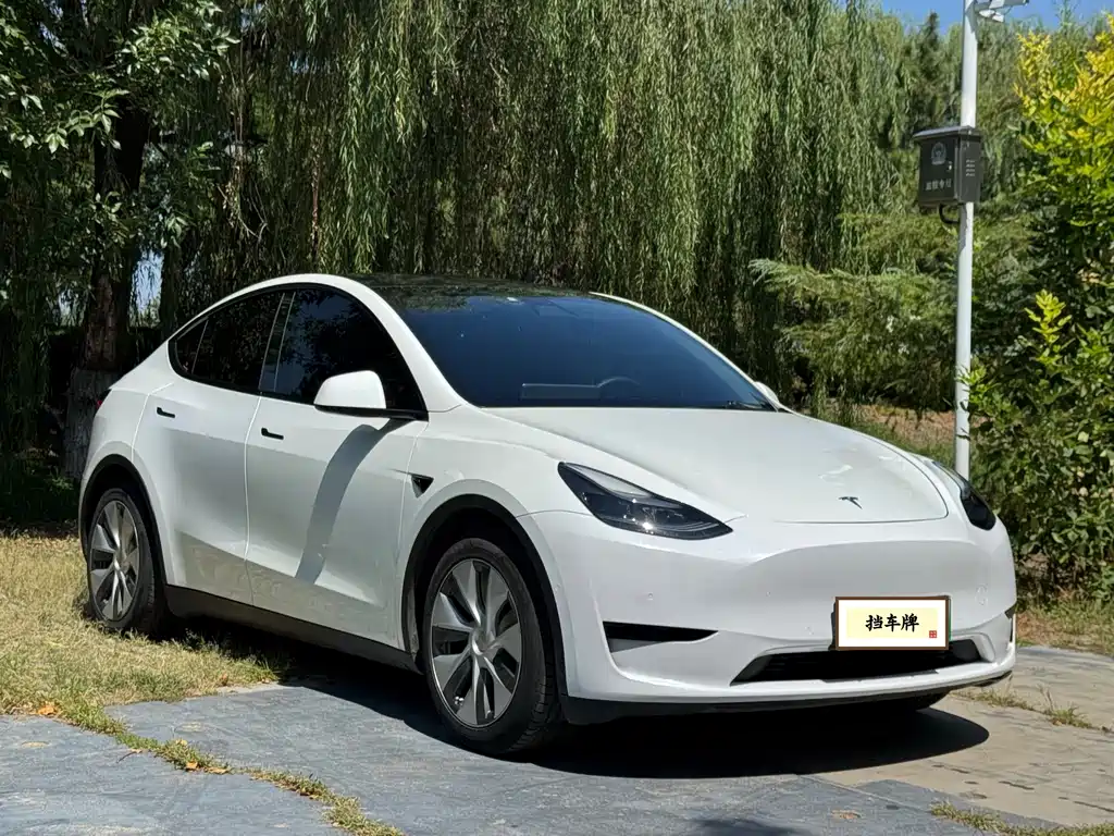 Tesla Model Y — миниатюра 3