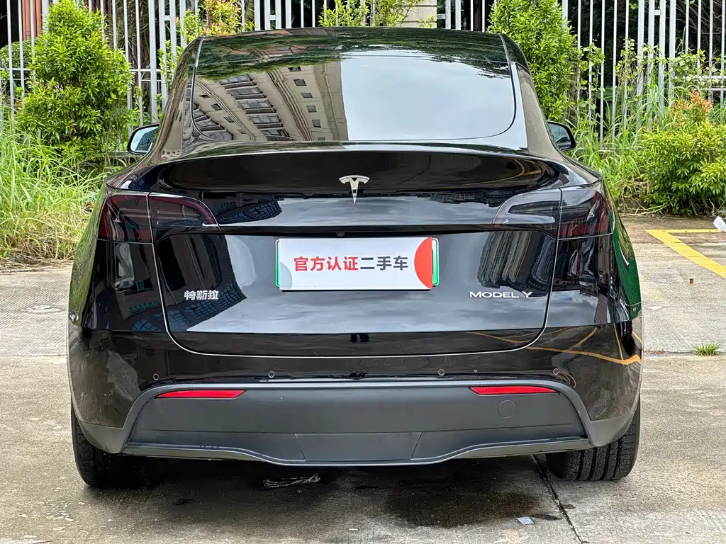 Tesla Model Y — миниатюра 8