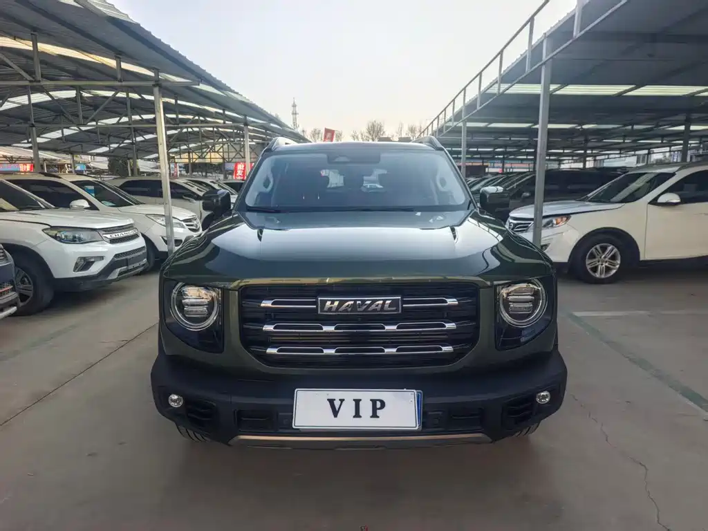 HAVAL BIG DOG