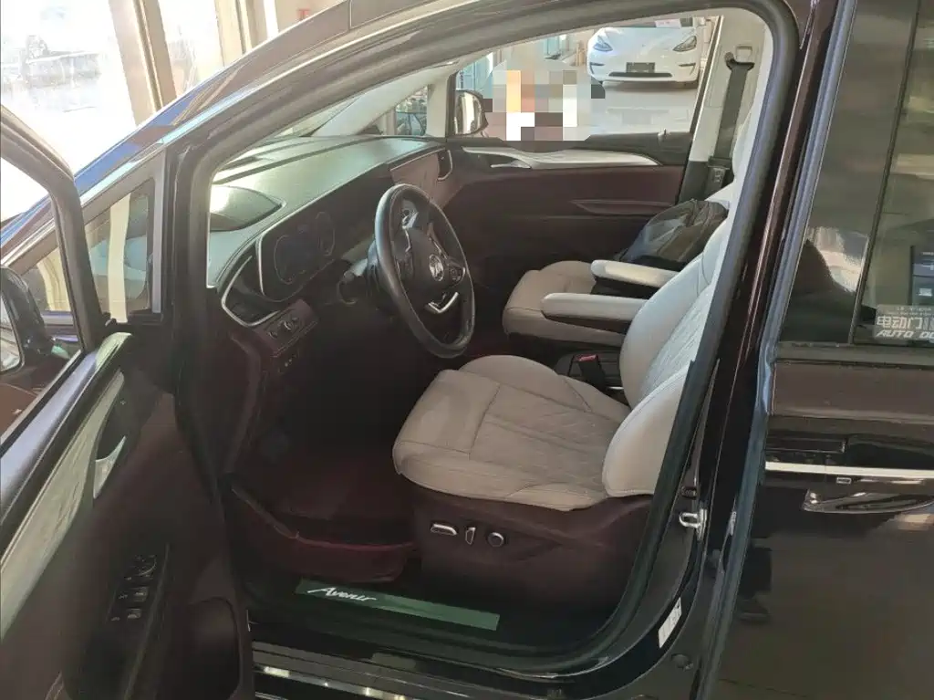 Buick GL8 — миниатюра 6