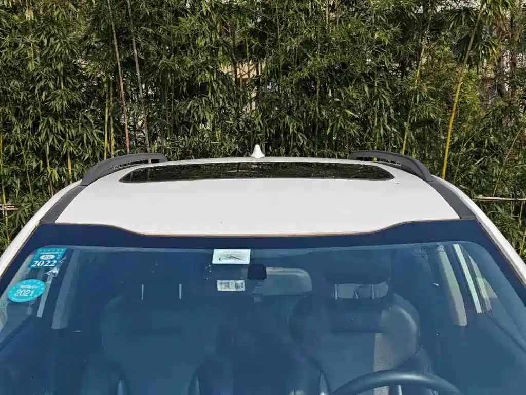 JIANGQI GROUP RUIFENG S4