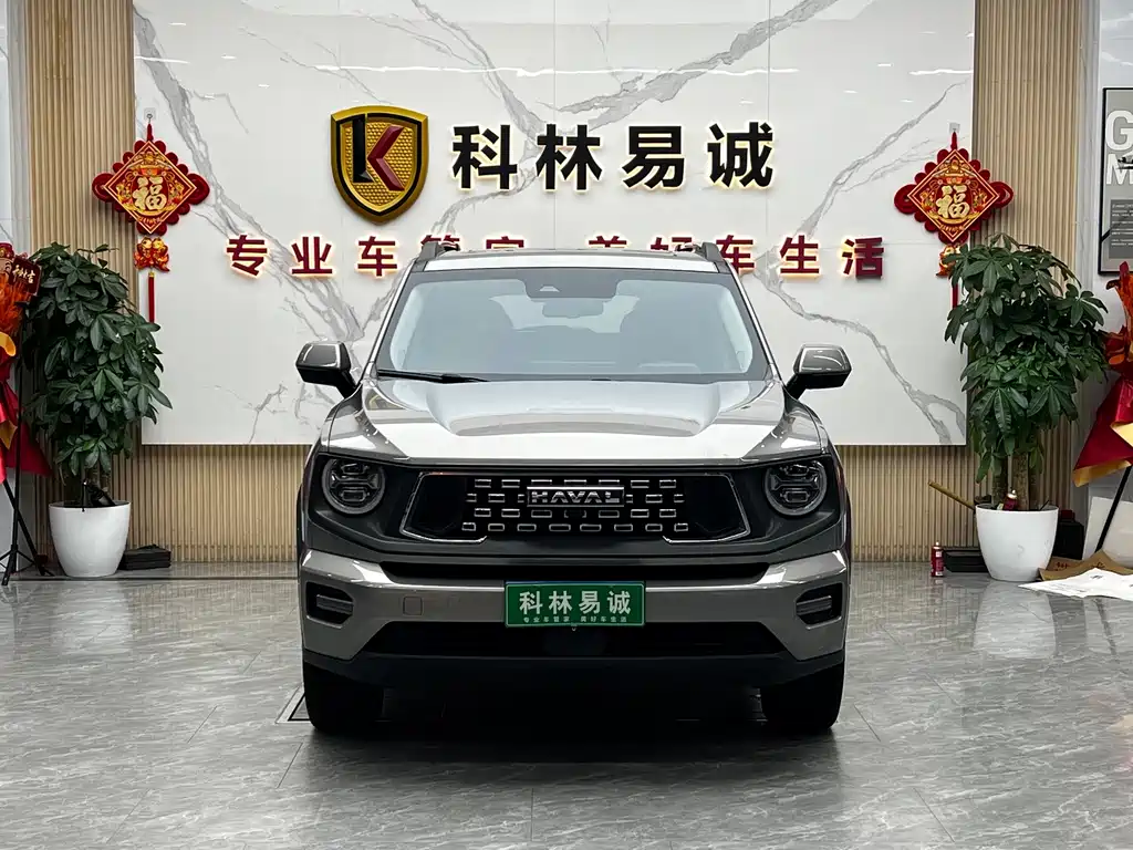 Haval Big Dog PLUS — миниатюра 2