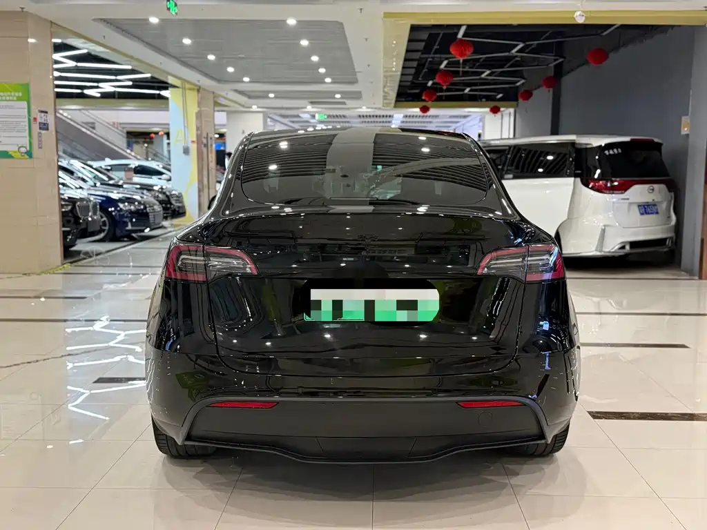 Tesla Model Y — миниатюра 8
