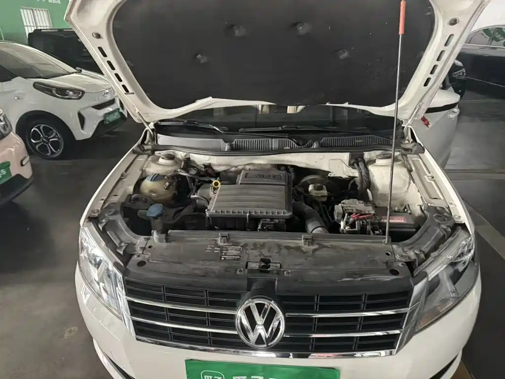 Volkswagen Gran Lavida — миниатюра 11