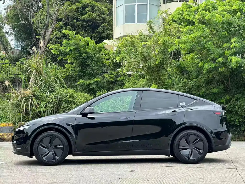 Tesla Model Y — миниатюра 7