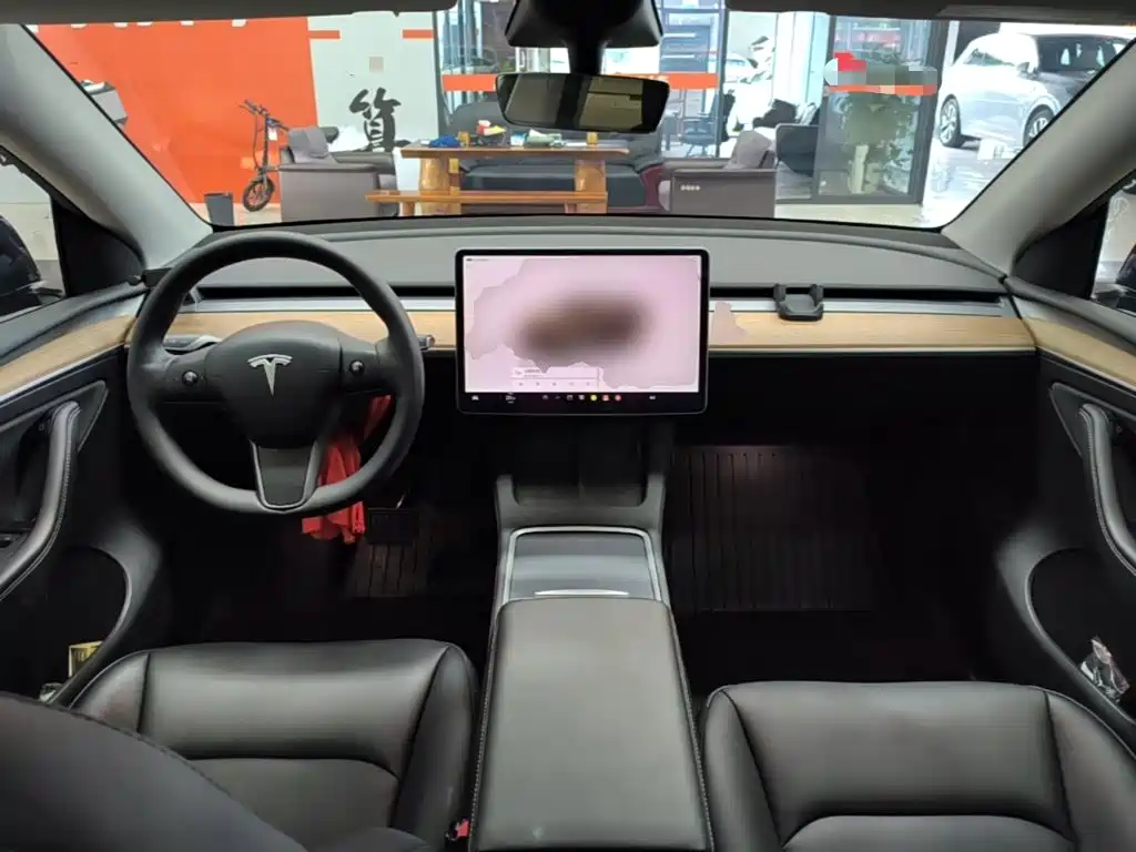 Tesla Model Y — миниатюра 10