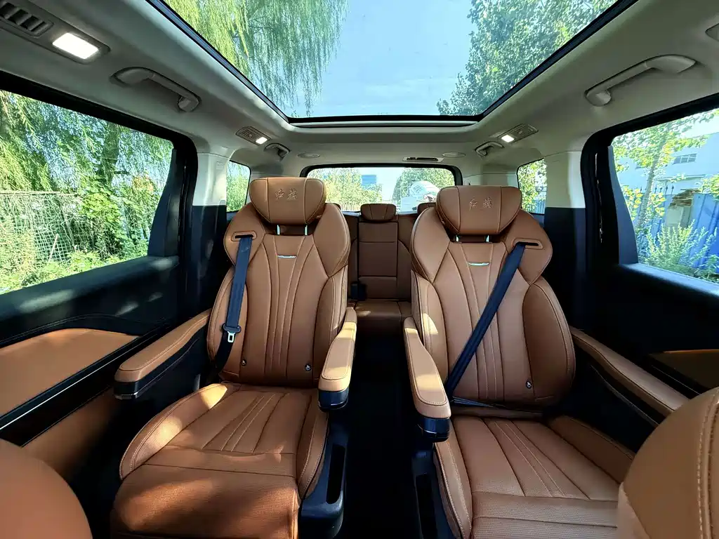 Hongqi Hongqi HQ9 — миниатюра 5