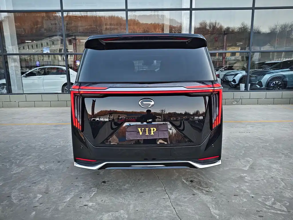 GAC Motor Trumpchi M8 — миниатюра 10