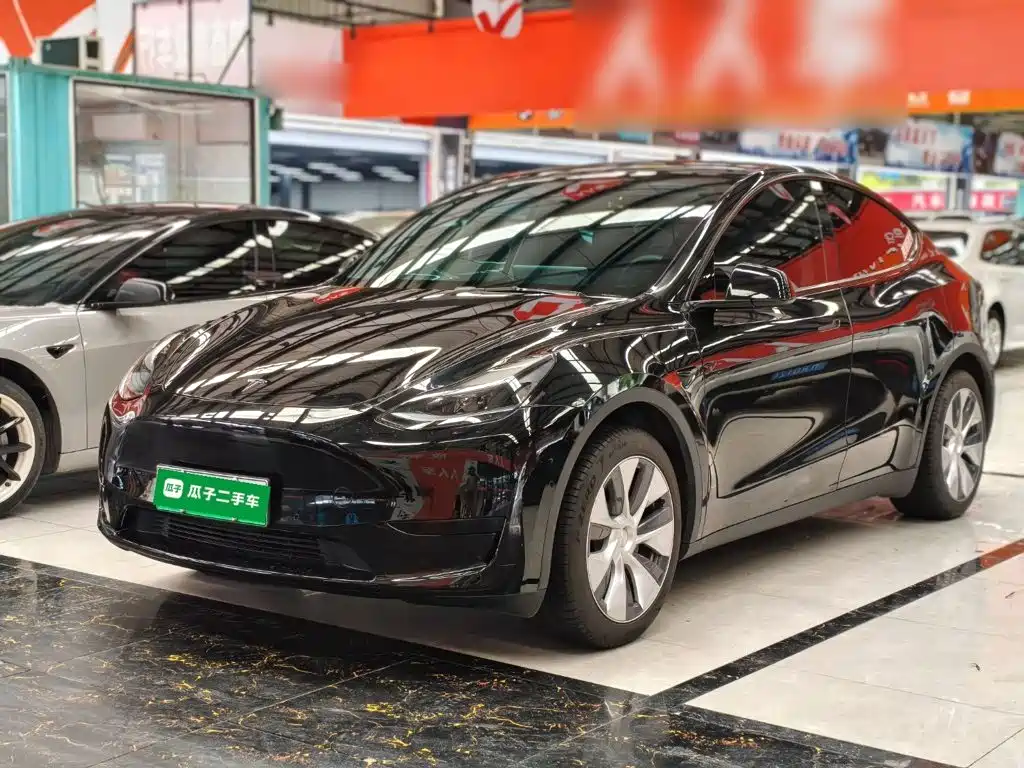 Tesla Model Y — миниатюра 2