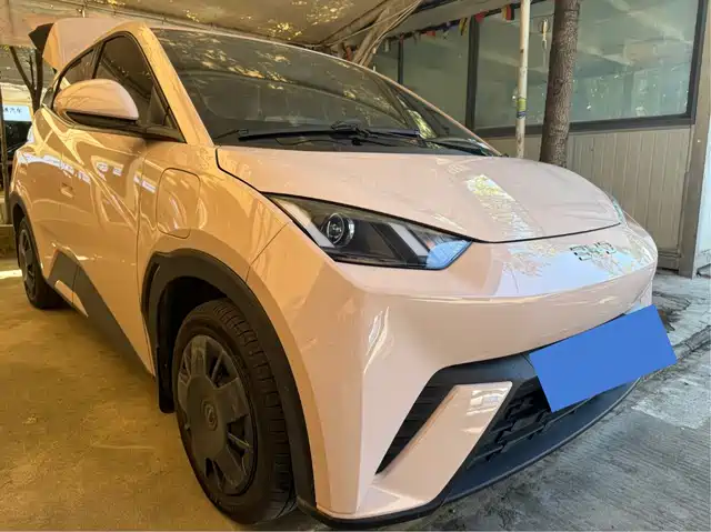 2024 BYD Seagull