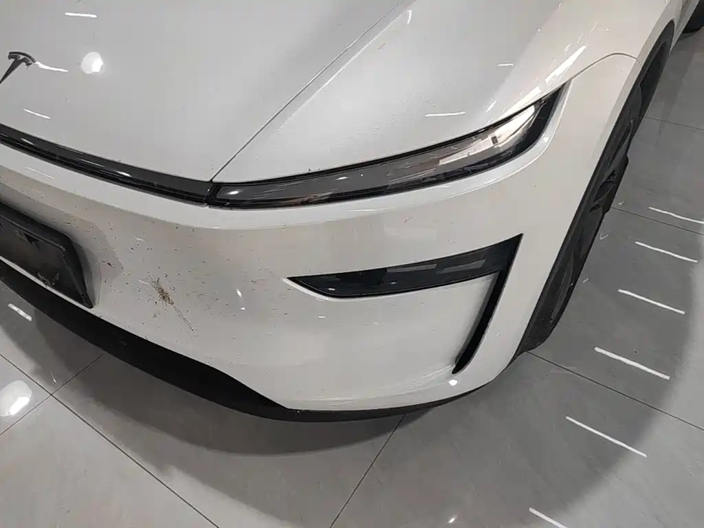 Tesla Model Y — миниатюра 24