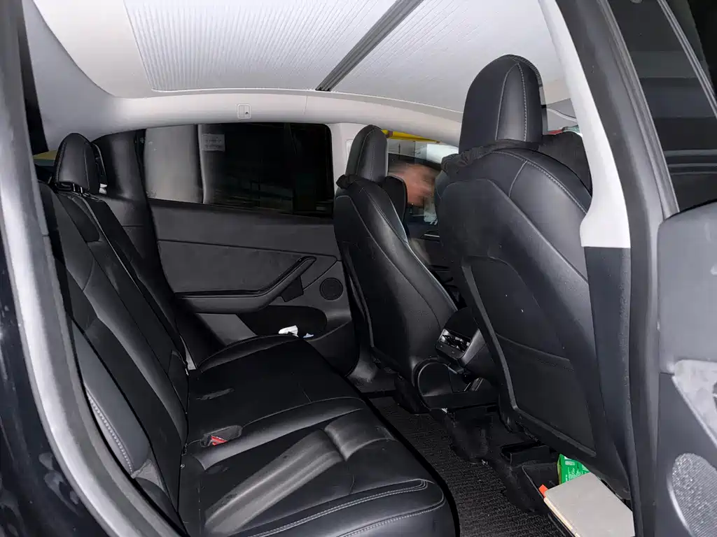 Tesla Model Y — миниатюра 9