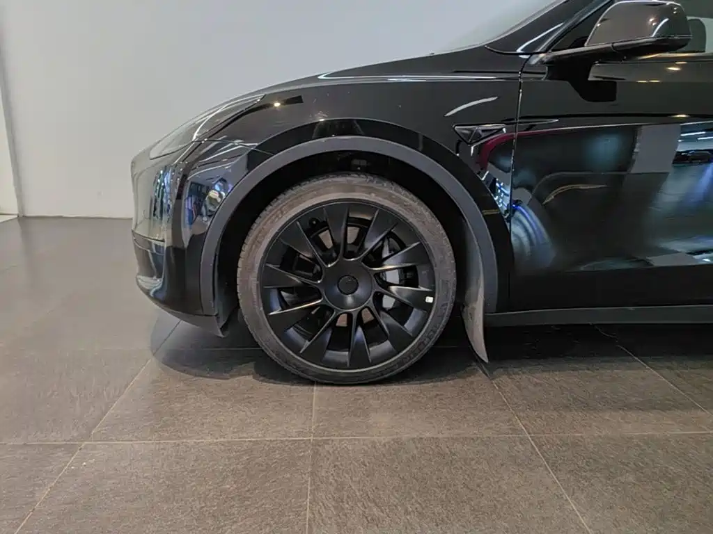Tesla Model Y — миниатюра 23