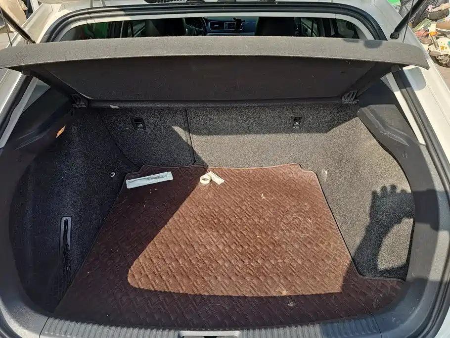 Volkswagen Gran Lavida — миниатюра 4