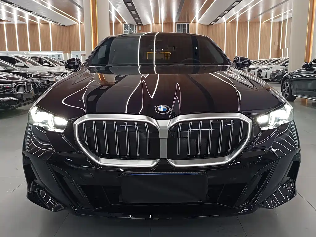 BMW 5 Series — миниатюра 2