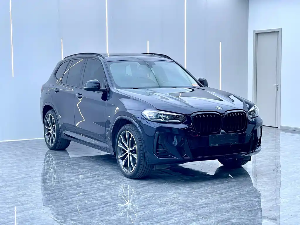 BMW X3 — миниатюра 3