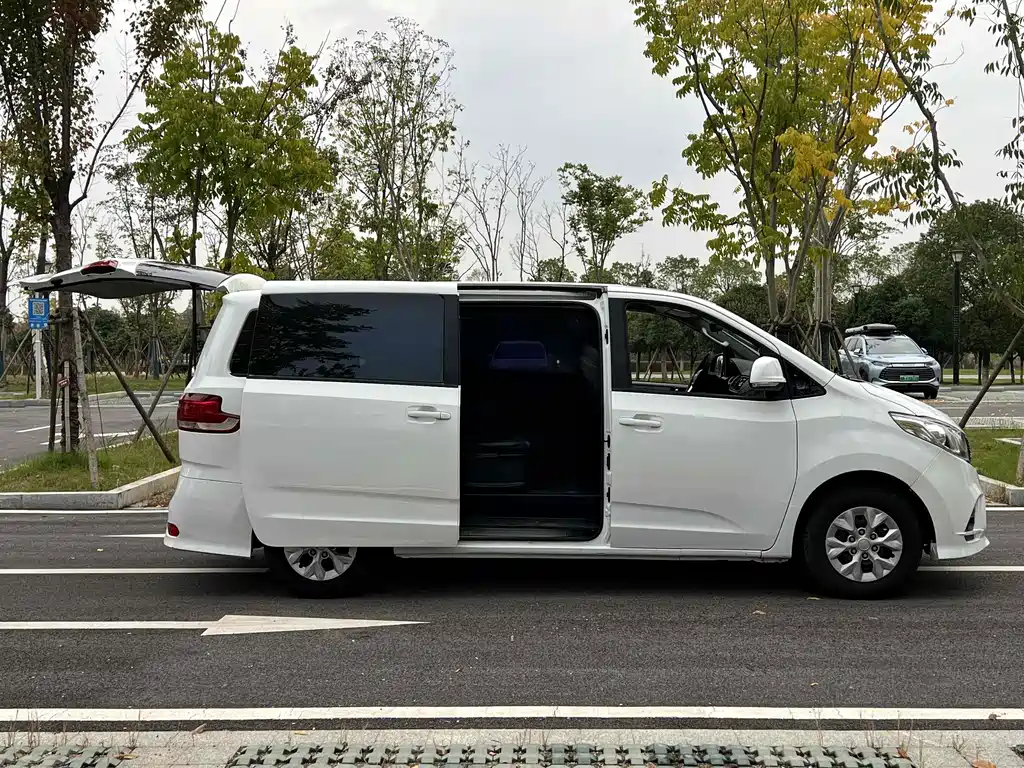 SAIC MAXUS CHASE G10