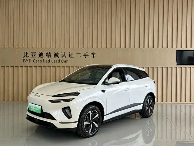2025 BYD Sea Lion