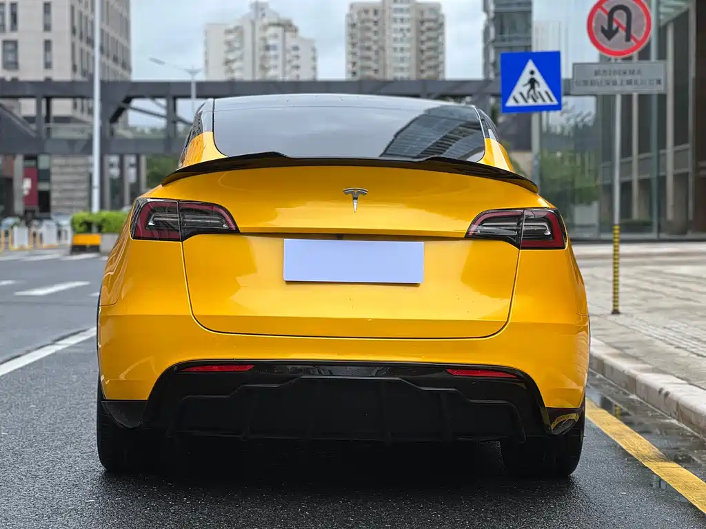 Tesla Model Y — миниатюра 24