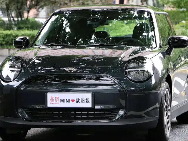 2025 MINI Paceman