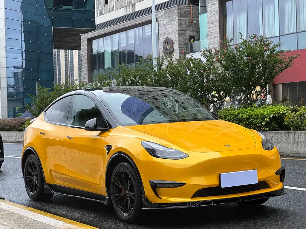 Tesla Model Y — миниатюра 2