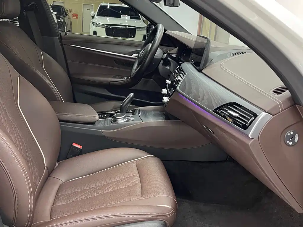 BMW 5 SERIES NEW ENERGY