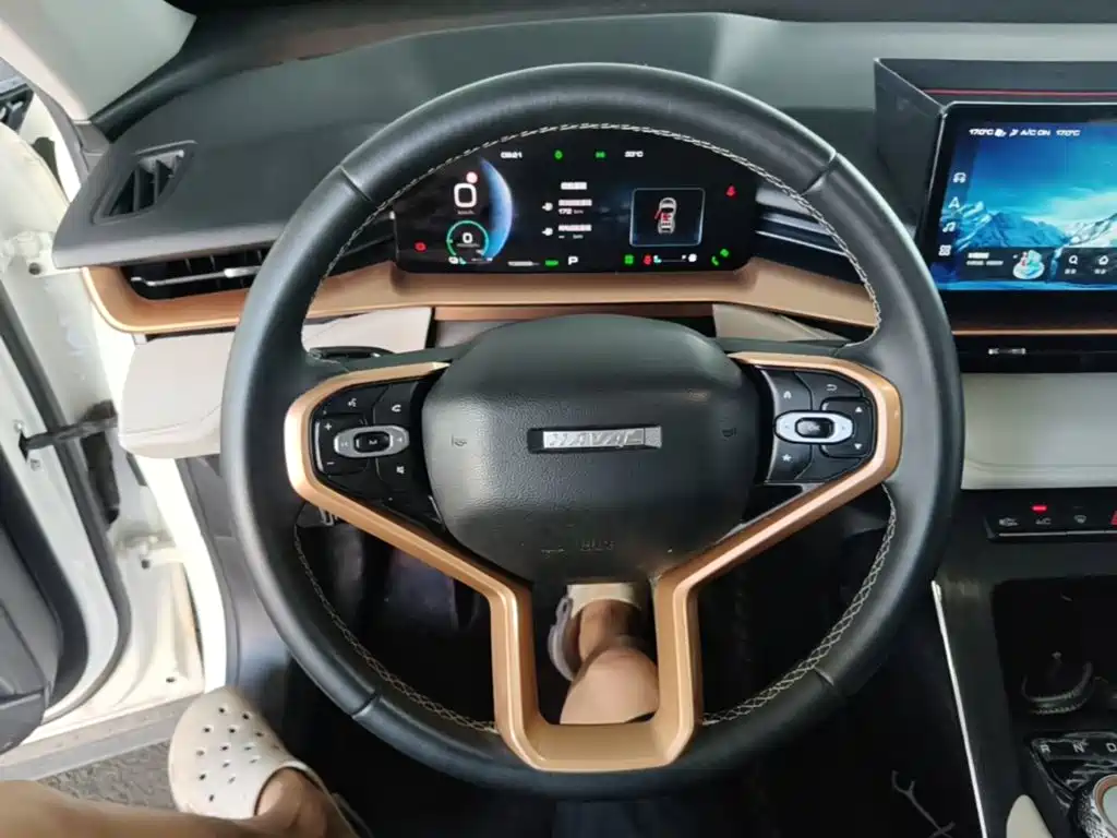 Haval H6 New Energy — миниатюра 7