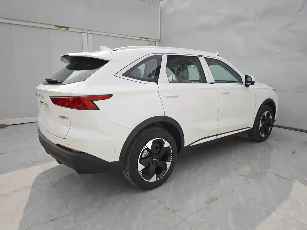 Haval 哈弗H6L — миниатюра 9