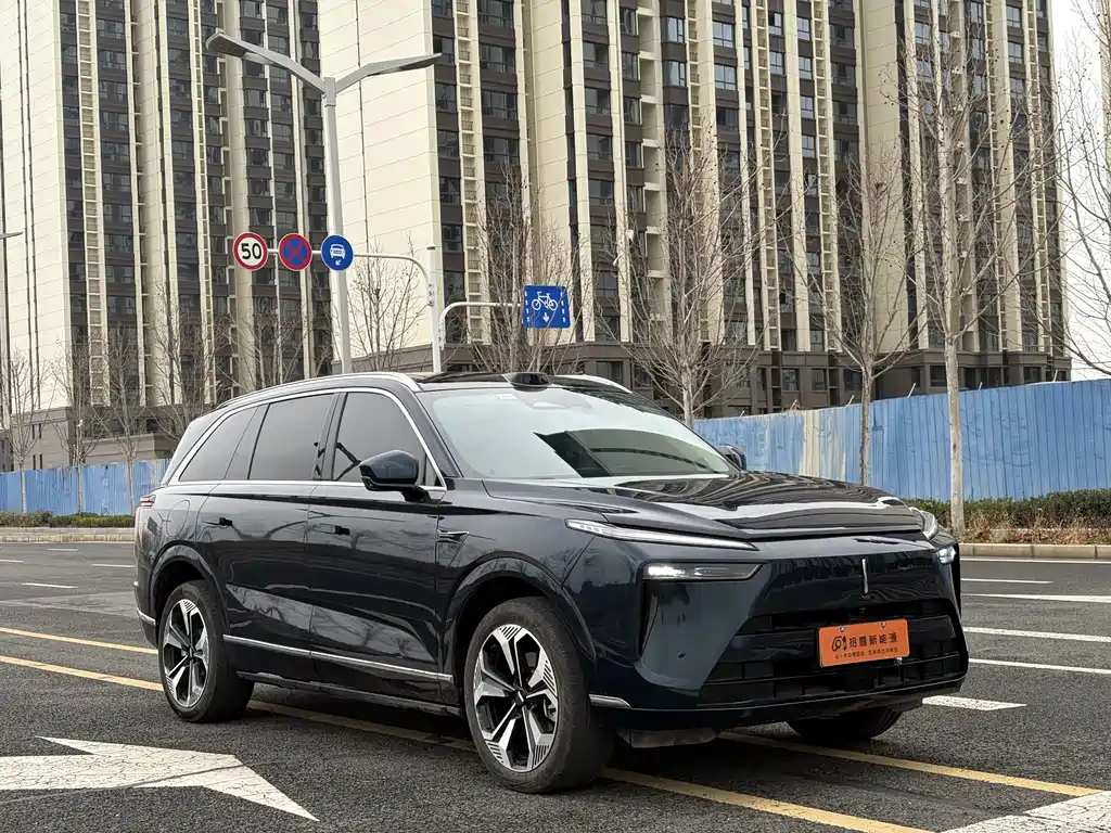 WEI PAI WEI BRAND BLUE MOUNTAIN