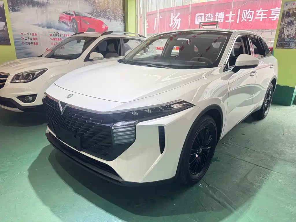 Venucia V 2022